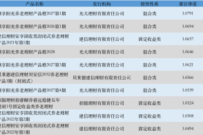 新澳天天彩免费资料2024老,整体规划执行讲解_U29.133