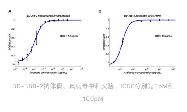 PKU最新药物研究进展与应用探索