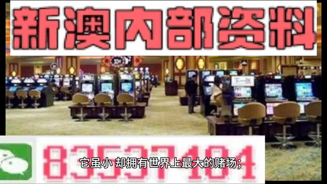 2024新澳正版免费资料,绝对经典解释落实_zShop23.450 - 副本