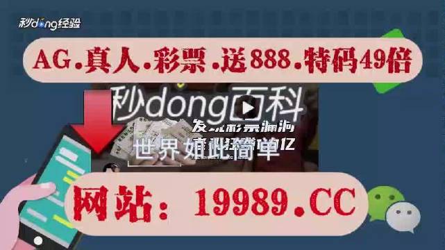 2024澳门天天六开彩免费香港,灵活解析实施_N版38.93.75