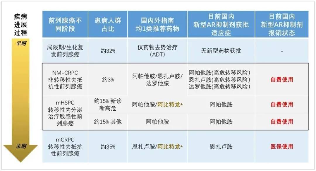 2024年11月29日 第31页