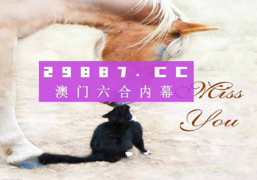 澳门4949精准免费大全青龙网,互动策略评估_R版20.604