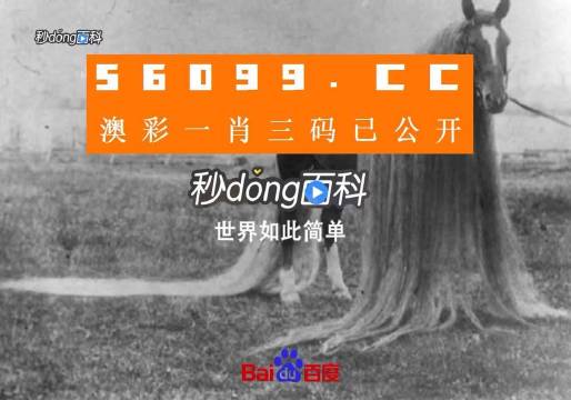 澳门一肖一码一必中一肖同舟前进,正确解答落实_创意版33.688