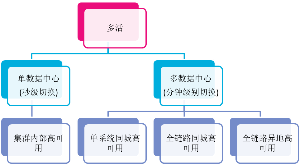 澳门一码一肖一特一中全年｜精选解释解析落实